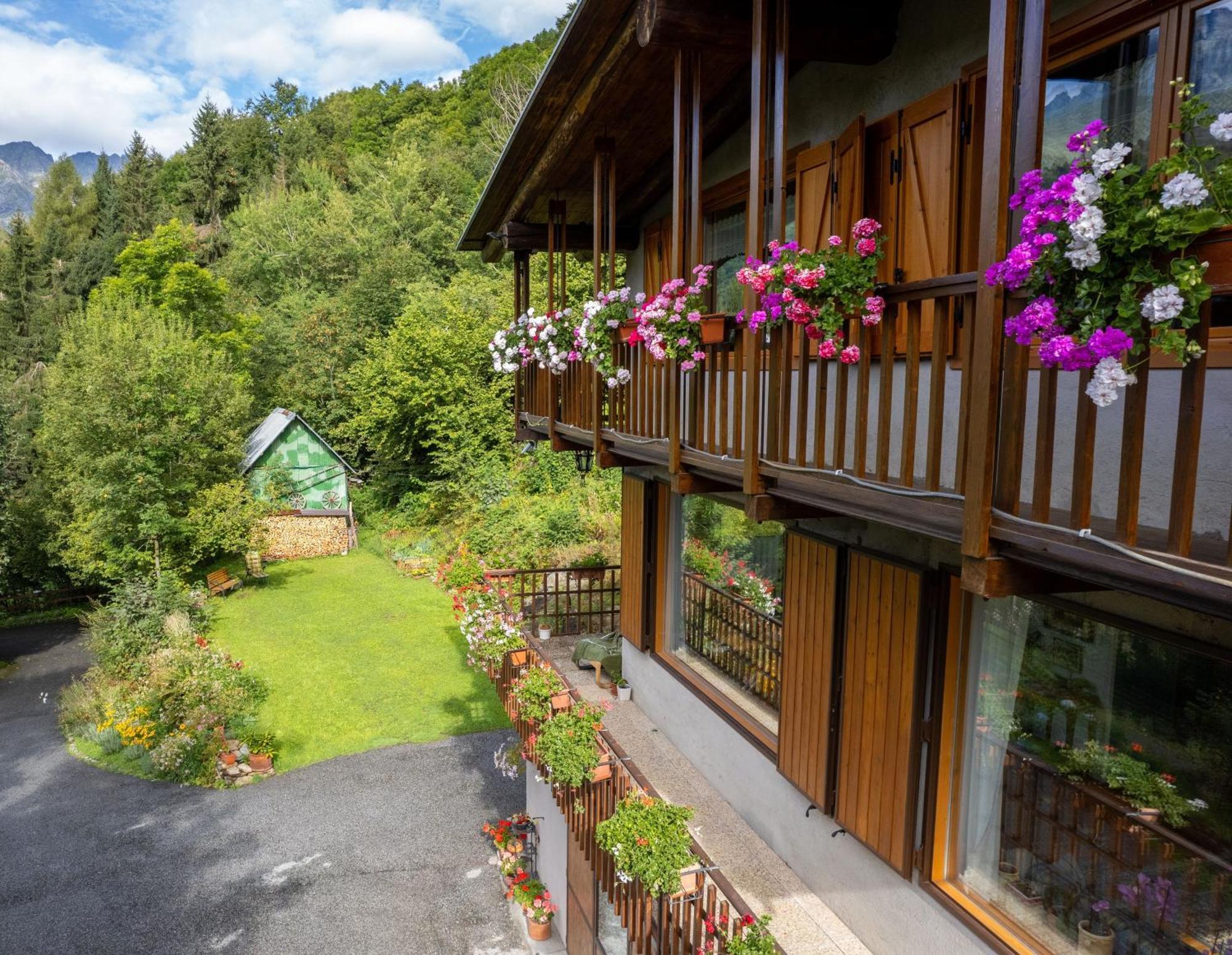 La Finestra Sul Monviso Apartman Crissolo Kültér fotó
